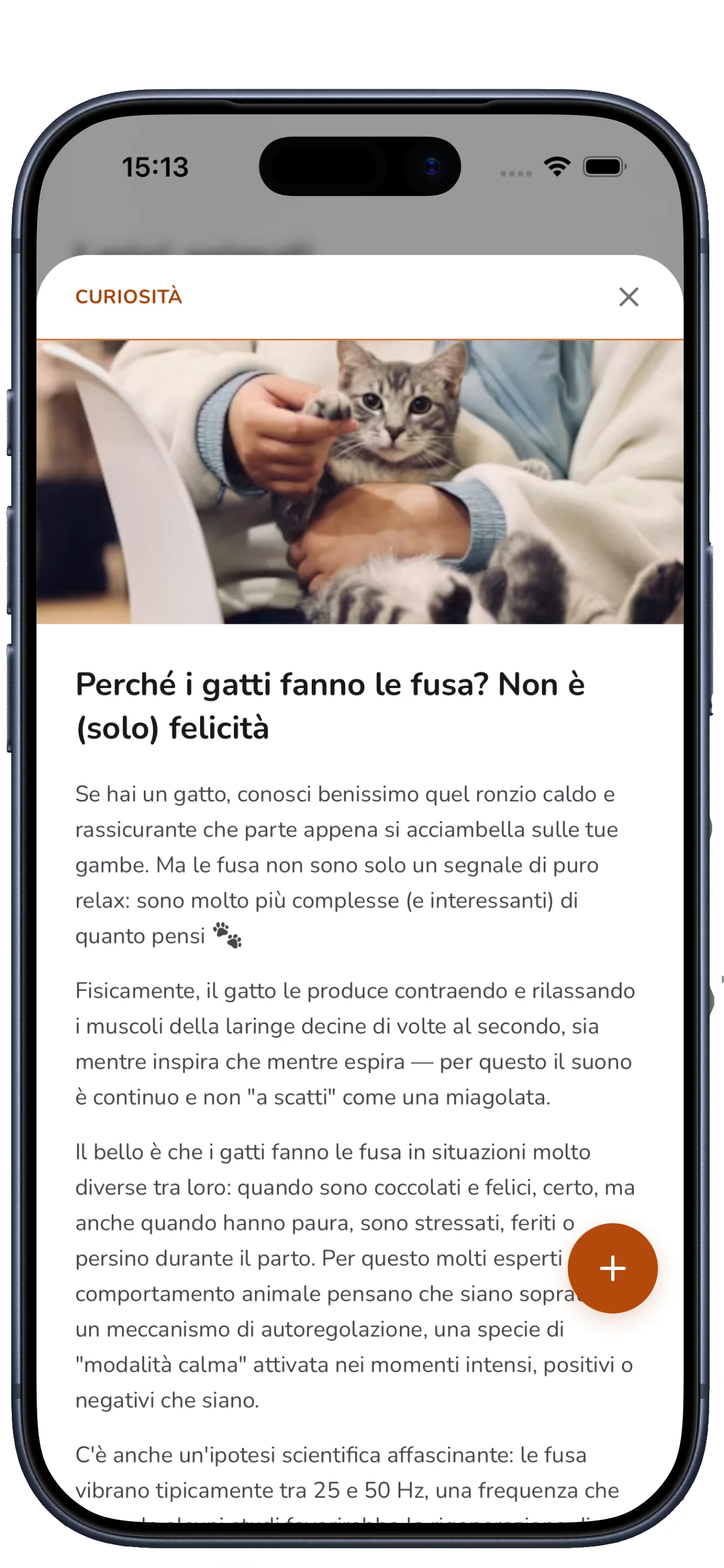 Articolo di curiosità di IntornoAPet sul comportamento dei gatti, aperto dalla schermata Home